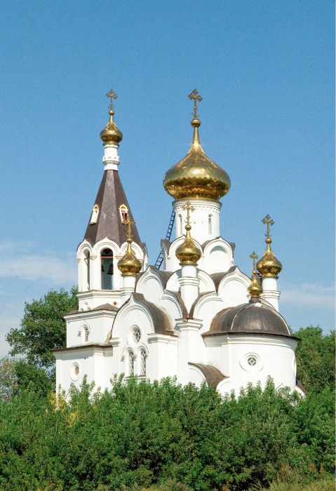 Никольская церковь с. Бокино Тамбовского р-на Тамбовской области